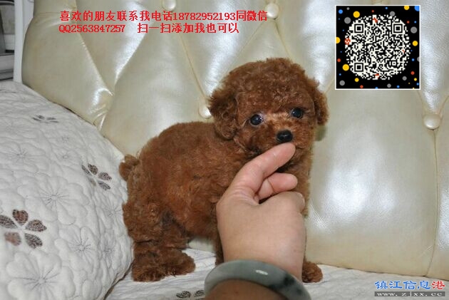 80 - 副本 (2) - 副本 - 副本 - 副本.jpg