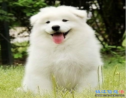 QQ截图20170522114508.png