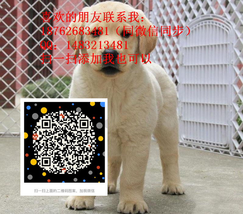 90 - 副本.jpg