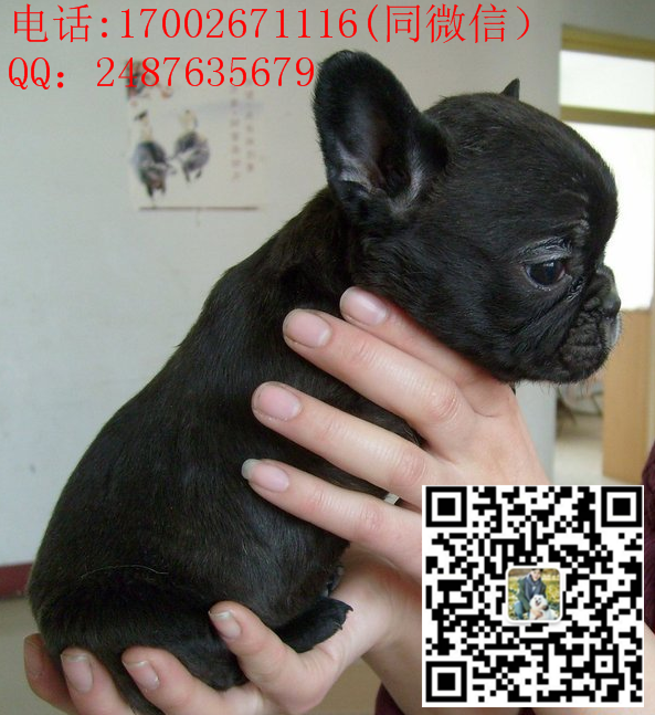 144317uyqydqrhjieou55u_副本.png